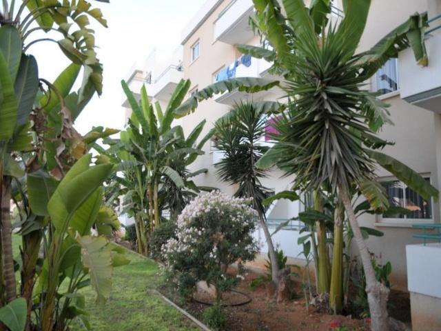Debbiexenia Aparthotel